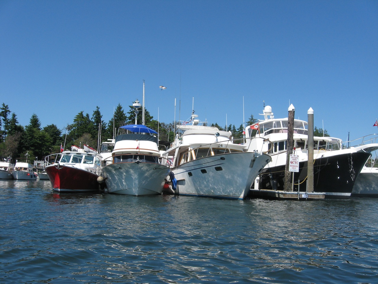 queen city yacht club seattle